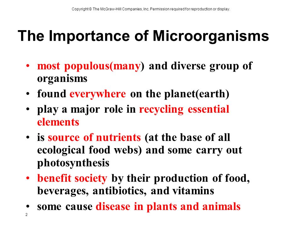 Humans and microorganisms essay help